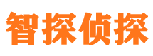 嵊州智探私家侦探公司